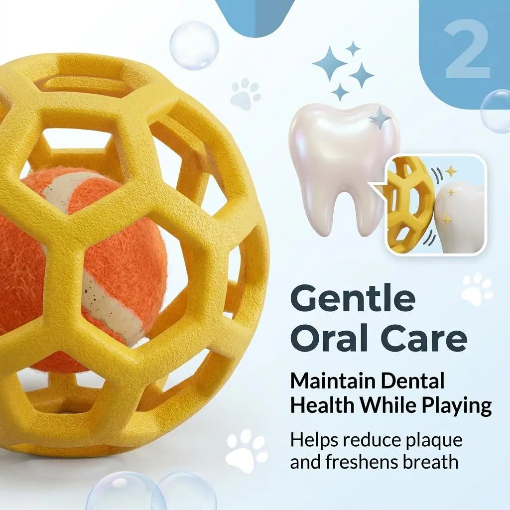 3 Pack Dog Toy Balls with Built-In Tennis Ball, Soft TPR Hollow Chew Toy for Dental Cleaning, Floating Interactive Fetch Toy for Small, Medium, and Large Dogs, Indoor Outdoor Pool Play